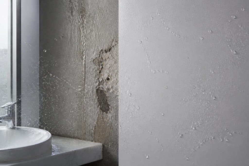 découvrez comment la peinture hydrofuge pour pièces humides améliore la résistance des murs aux projections d'eau, assurant protection et durabilité dans vos espaces intérieurs.