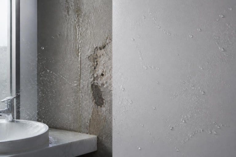 découvrez comment la peinture hydrofuge pour pièces humides améliore la résistance des murs aux projections d'eau, assurant protection et durabilité dans vos espaces intérieurs.