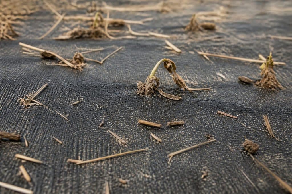 découvrez comment la toile de paillage tissée contribue à l'étouffement durable des adventices, offrant une solution efficace pour le contrôle durable des mauvaises herbes.