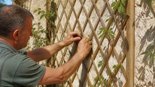 découvrez comment installer un treillage en croisillons sur un support vertical pour soutenir efficacement vos plantes grimpantes et embellir votre jardin.
