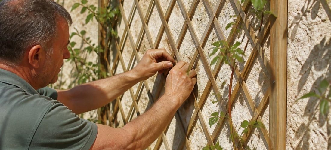 découvrez comment installer un treillage en croisillons sur un support vertical pour soutenir efficacement vos plantes grimpantes et embellir votre jardin.