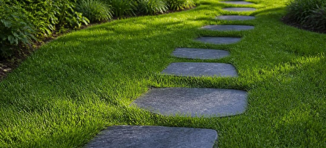 découvrez comment les pas japonais en ardoise influencent le guidage naturel à travers la pelouse, en alliant esthétique et fonctionnalité pour un jardin harmonieux.