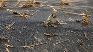 découvrez comment la toile de paillage tissée contribue à l'étouffement durable des adventices, offrant une solution efficace pour le contrôle durable des mauvaises herbes.